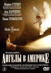 Ангелы в Америке