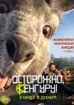 Осторожно, Кенгуру!