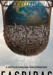 Морской заговор: тайна устойчивого рыболовства