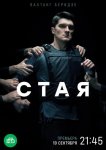 Стая