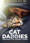 Котики