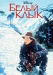 Белый клык