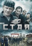 Стая