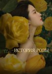 История розы
