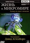 BBC: Жизнь в микромире