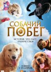 Собачий побег