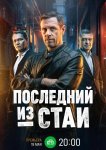 Последний из стаи