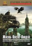 Жизнь после людей