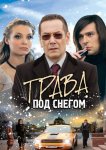Трава под снегом