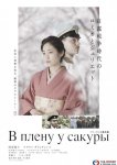 В плену у сакуры