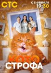 Котострофа