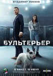 Бультерьер