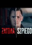 Шпионская бухта