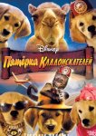 Пятерка кладоискателей
