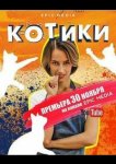 Котики