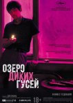 Озеро диких гусей