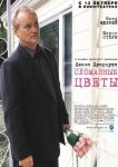 Сломанные цветы