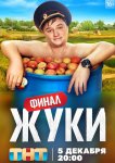 Жуки