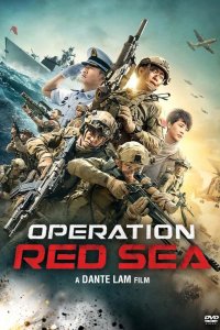 Операция в Красном море