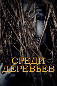 За деревьями