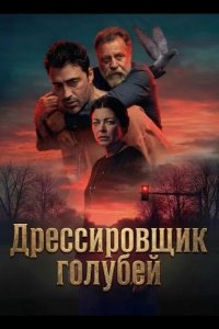 Дрессировщик голубей