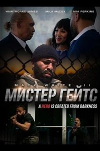 Мистер Гейтс