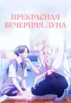  Прекрасная вечерняя луна 